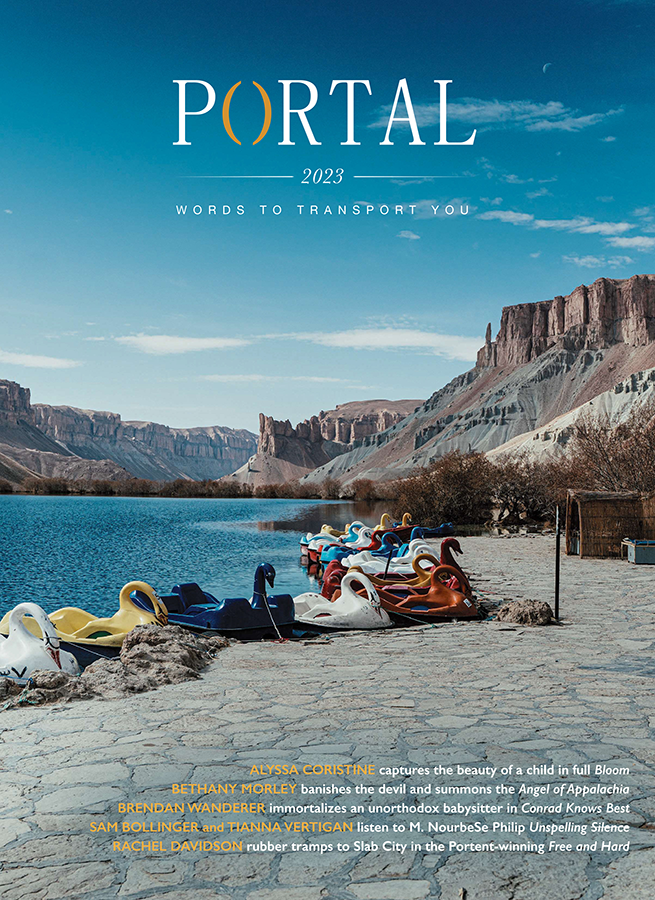 Portal 2023 Cover / Cover Photo: "Afghan Swans" by Seth Scott